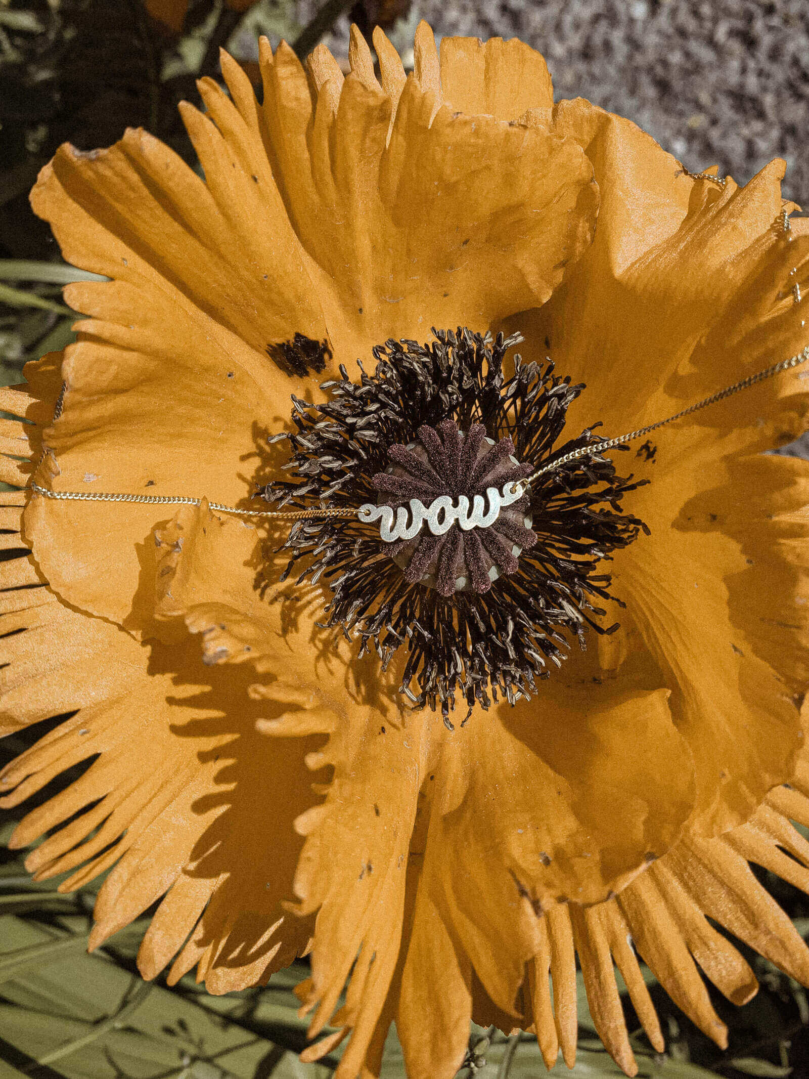 Kettenanhänger WOW Vergoldet 